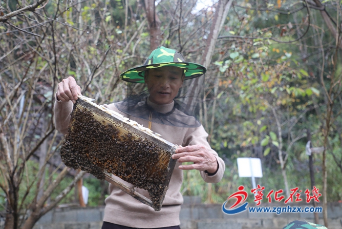 退伍老兵施河林的“甜蜜”事業