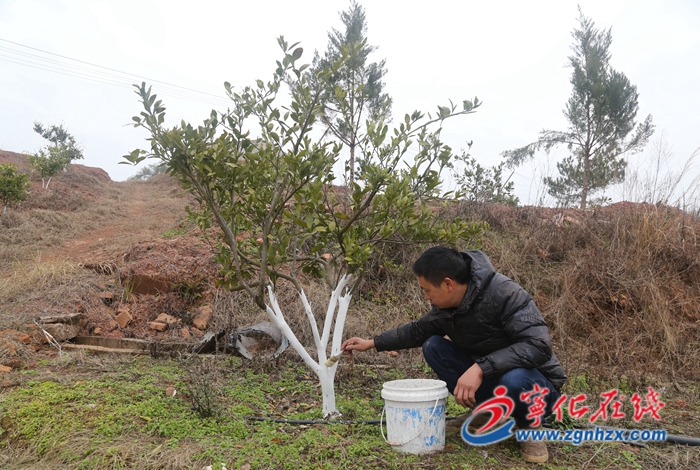 寧化淮土：積極做好防寒防凍工作