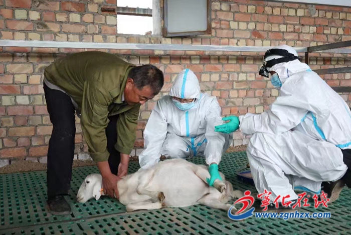 一段援疆路 一生援疆情