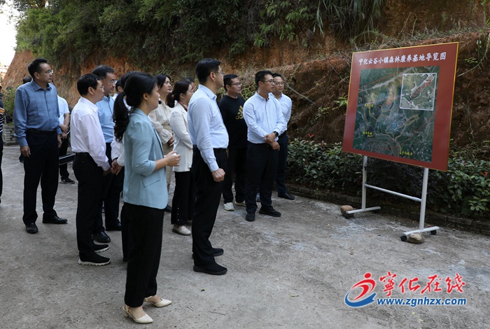 寧化縣深入學(xué)習(xí)“千萬工程”經(jīng)驗(yàn)建設(shè)寧化美麗鄉(xiāng)村現(xiàn)場推進(jìn)會召開