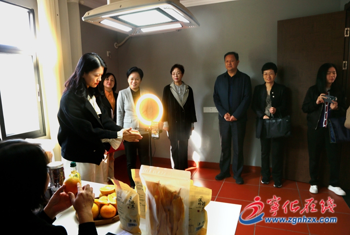 省婦聯領導來寧化調研