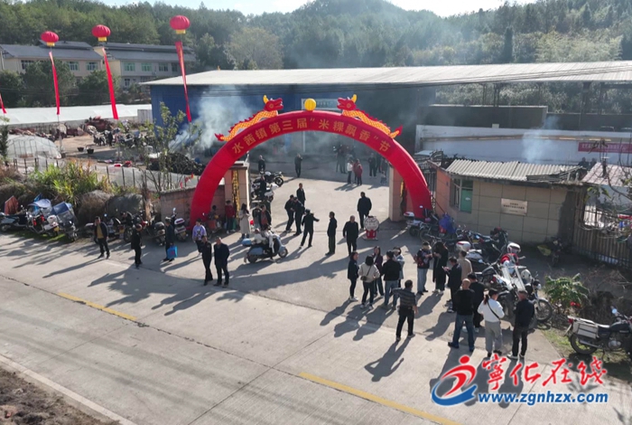 寧化水茜鎮舉辦第三屆米粿飄香節