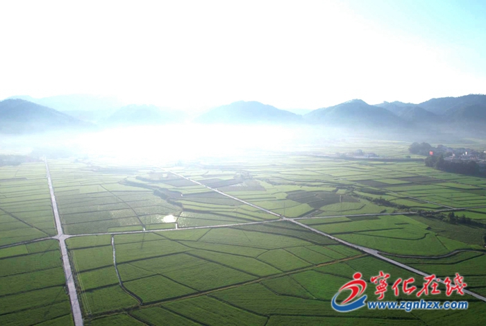 寧化：高標(biāo)準(zhǔn)農(nóng)田建設(shè)讓糧田變“良田”