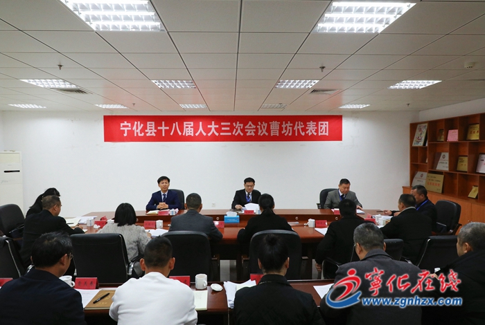 寧化縣領導參加人大分組審議