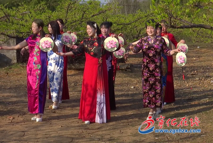 寧化:踏春賞花 傳統服飾扮靚春色