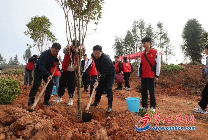 寧化縣領(lǐng)導(dǎo)參加義務(wù)植樹活動