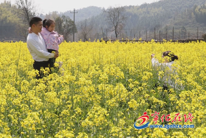 寧化安遠(yuǎn)鎮(zhèn):荒田變花海 美景引客來