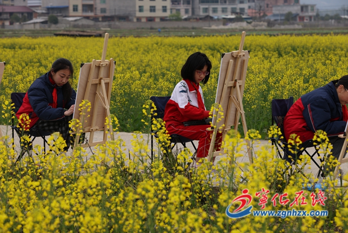 寧化泉上鎮：“賞花經濟”蹚出鄉村振興新路子