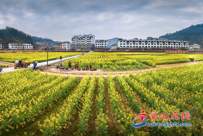 治平畬族鄉:推進環境整治,扮靚鄉村“顏值”