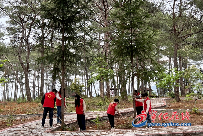 寧化湖村：林長示范，帶動“綠”資源循環