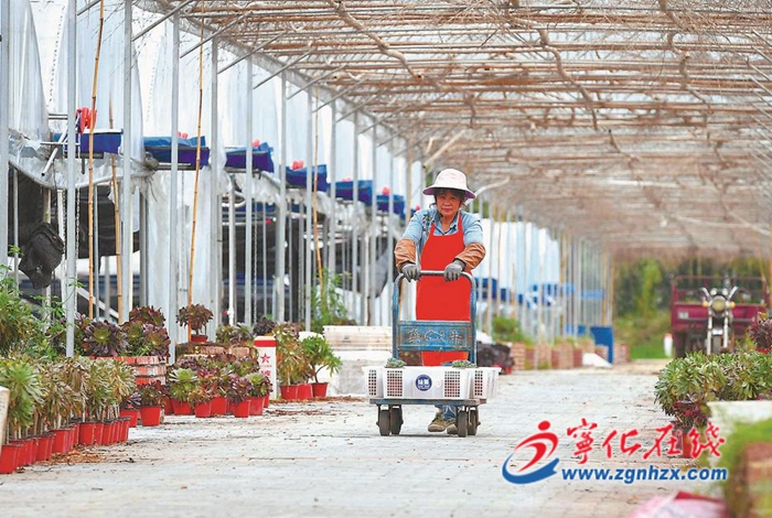 借“肉”發(fā)展 美了小村莊