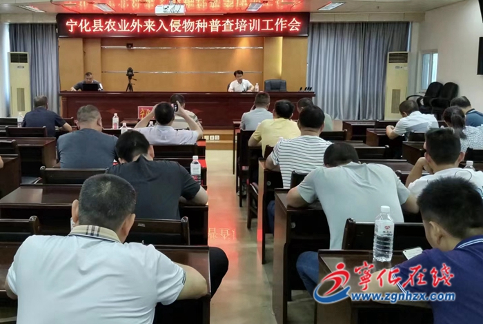 寧化首次啟動(dòng)農(nóng)業(yè)外來入侵物種普查