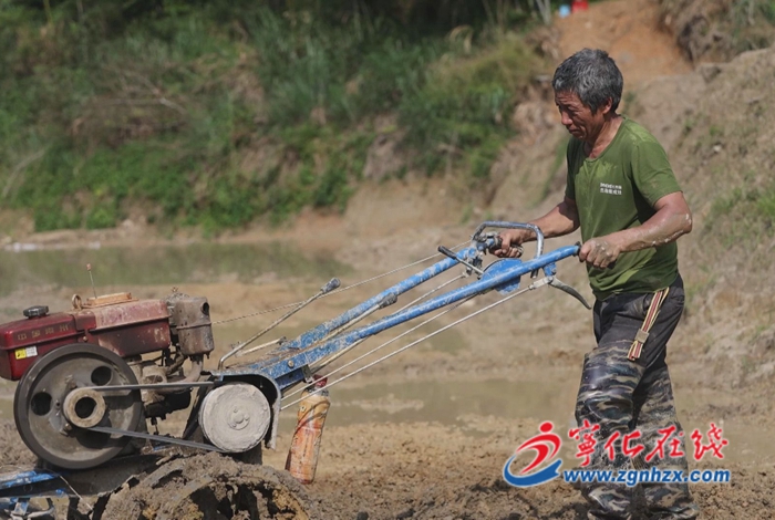 寧化翠江鎮：多措并舉整治撂荒地
