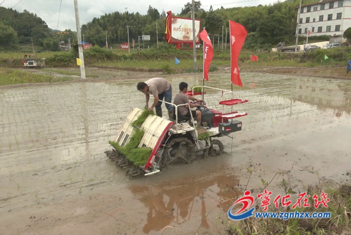 寧化開展水稻生產(chǎn)全程機械化示范推廣現(xiàn)場培訓活動