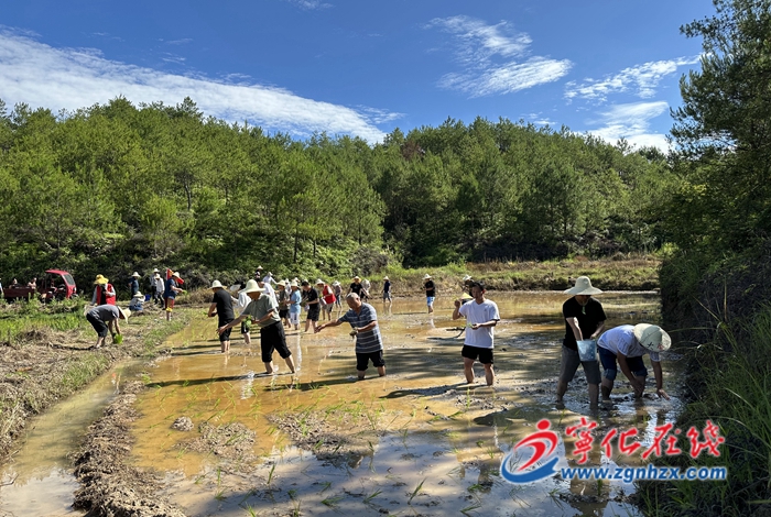 寧化淮土鎮開展“我在鄉間有畝田”主題黨日活動