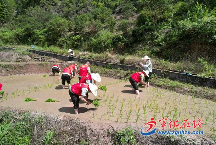 明溪、清流兩縣高速征管所來寧開展“我在鄉(xiāng)間有畝田”黨員志愿活動