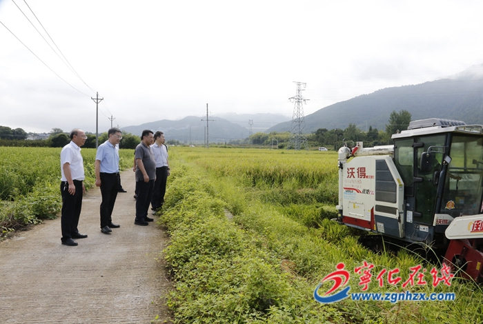市領(lǐng)導(dǎo)來寧化調(diào)研現(xiàn)代種業(yè)產(chǎn)業(yè)鏈工作