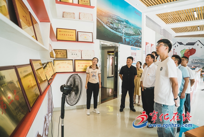 寧化：頭雁領航賽實績 比武爭星顯真章