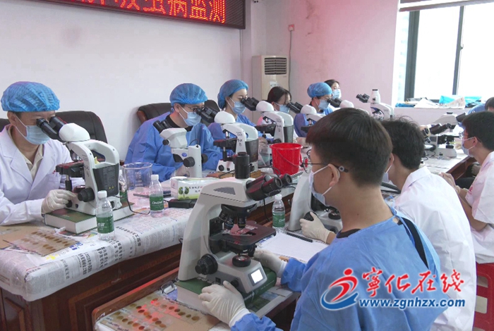 寧化縣開展2023年肝吸蟲病防治監(jiān)測工作
