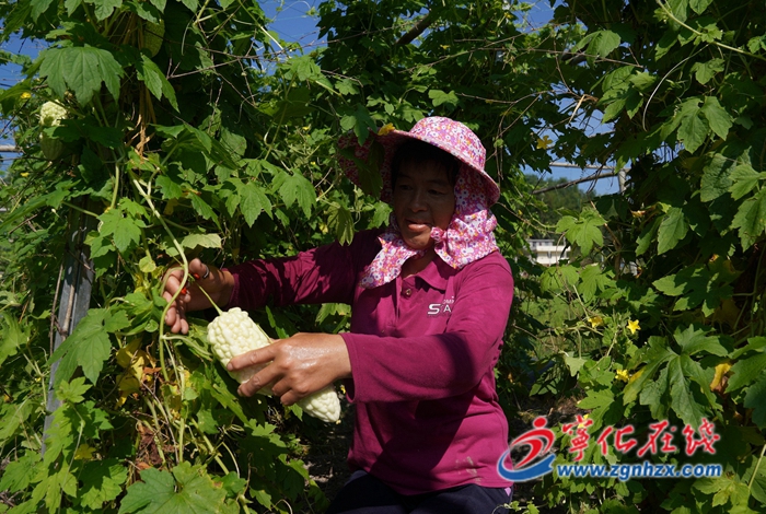 寧臺融合助推特色現(xiàn)代產(chǎn)業(yè)
