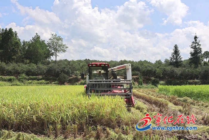 寧化水茜鎮(zhèn)：高標(biāo)準(zhǔn)農(nóng)田助豐收