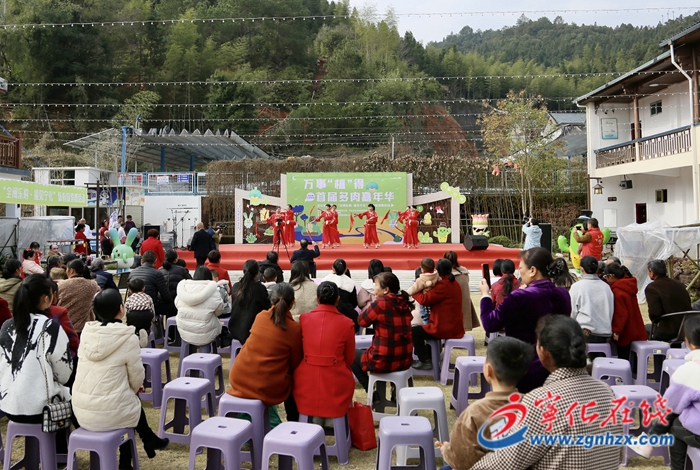 安樂鎮舉辦首屆多肉嘉年華促消費活動