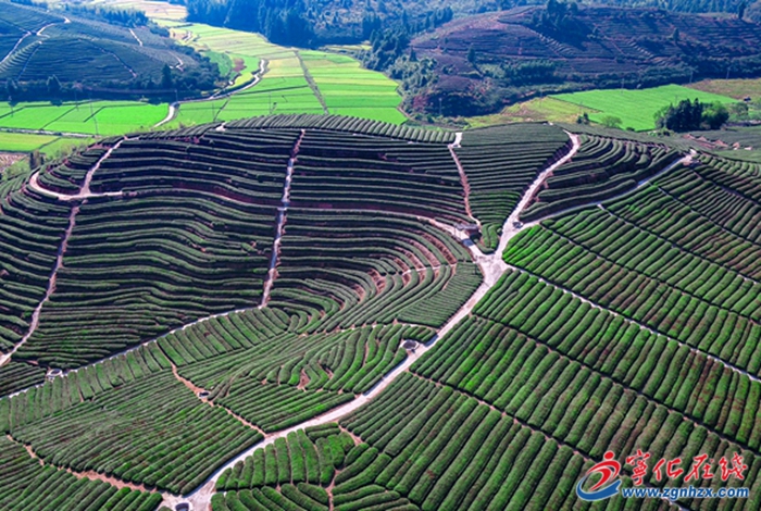 政府工作報告解讀|寧化：堅持宜居宜業(yè)建城鄉(xiāng) 加快繪就生態(tài)文明新畫卷