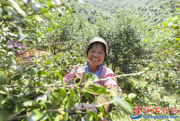 寧化縣淮土鎮：人不負青山，青山定不負人