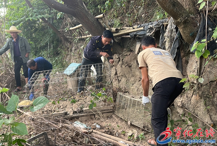 水茜鎮(zhèn)開展河湖“清四亂”行動(dòng)