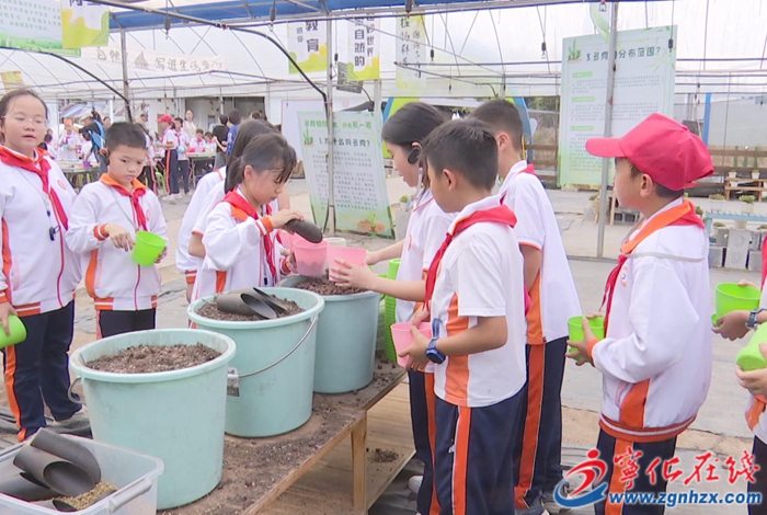 寧化安樂鎮：發展研學旅游 賦能鄉村振興
