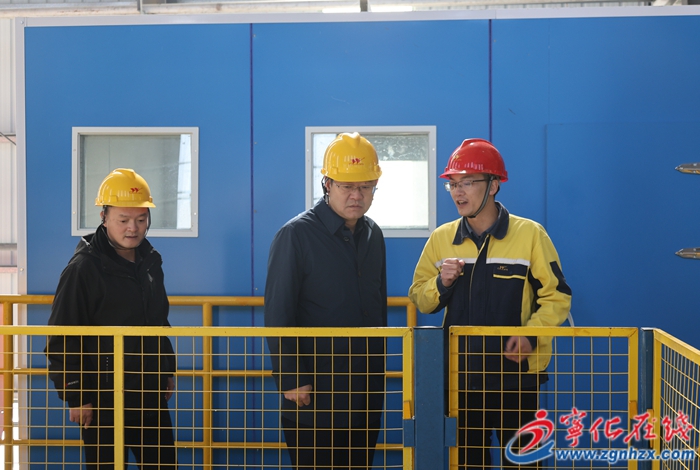 寧化縣領導開展林長制和項目工作調研