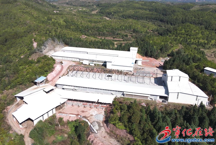 深學爭優 敢為爭先 實干爭效 | 寧化海蘭灰粉雞集約化養殖基地建設項目建設接近尾聲