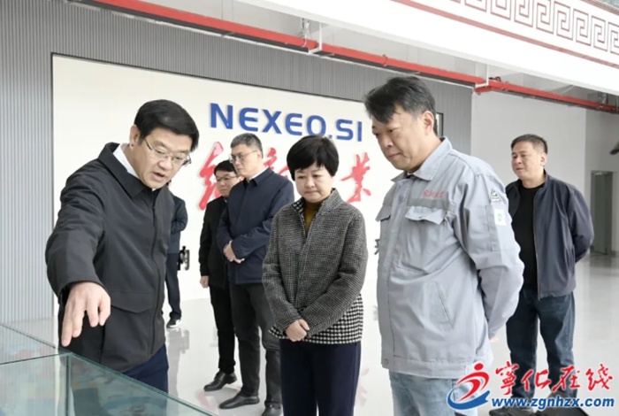 市領導來寧開展調研