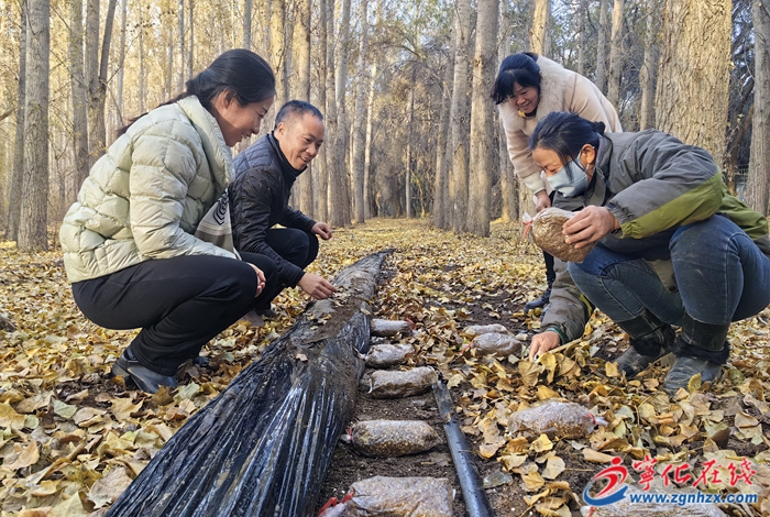 同心強產業 明瑪譜華章