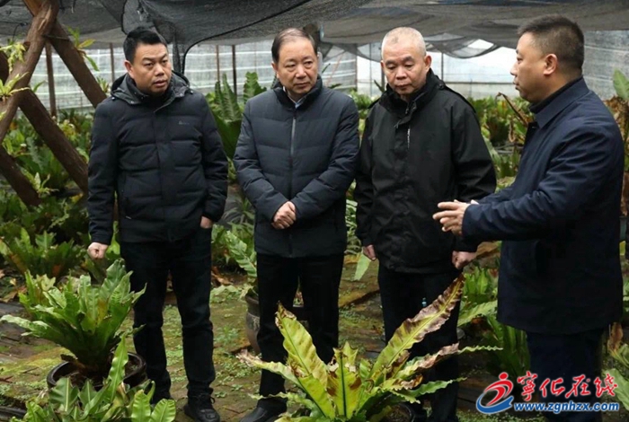 省人大常委會調研組來寧開展人大僑臺工作調研