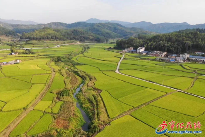 淮土鎮(zhèn)：改革領(lǐng)先 走出新“稻路”