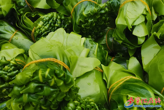 四領(lǐng)一促丨淮土鎮(zhèn)：多點開花致力產(chǎn)業(yè)領(lǐng)跑，黨建“引擎”賦能鄉(xiāng)村振興