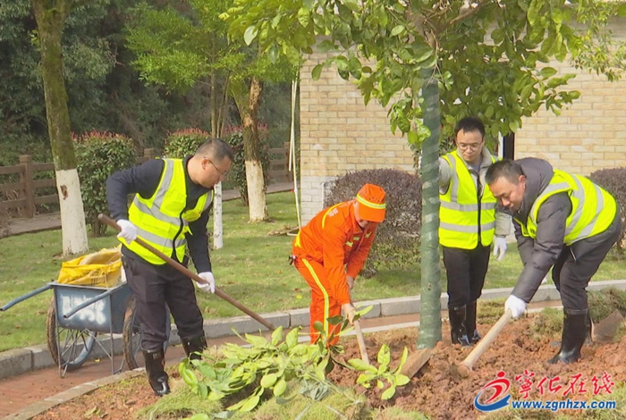 寧化開展省際國省干線“三化”示范路創建活動
