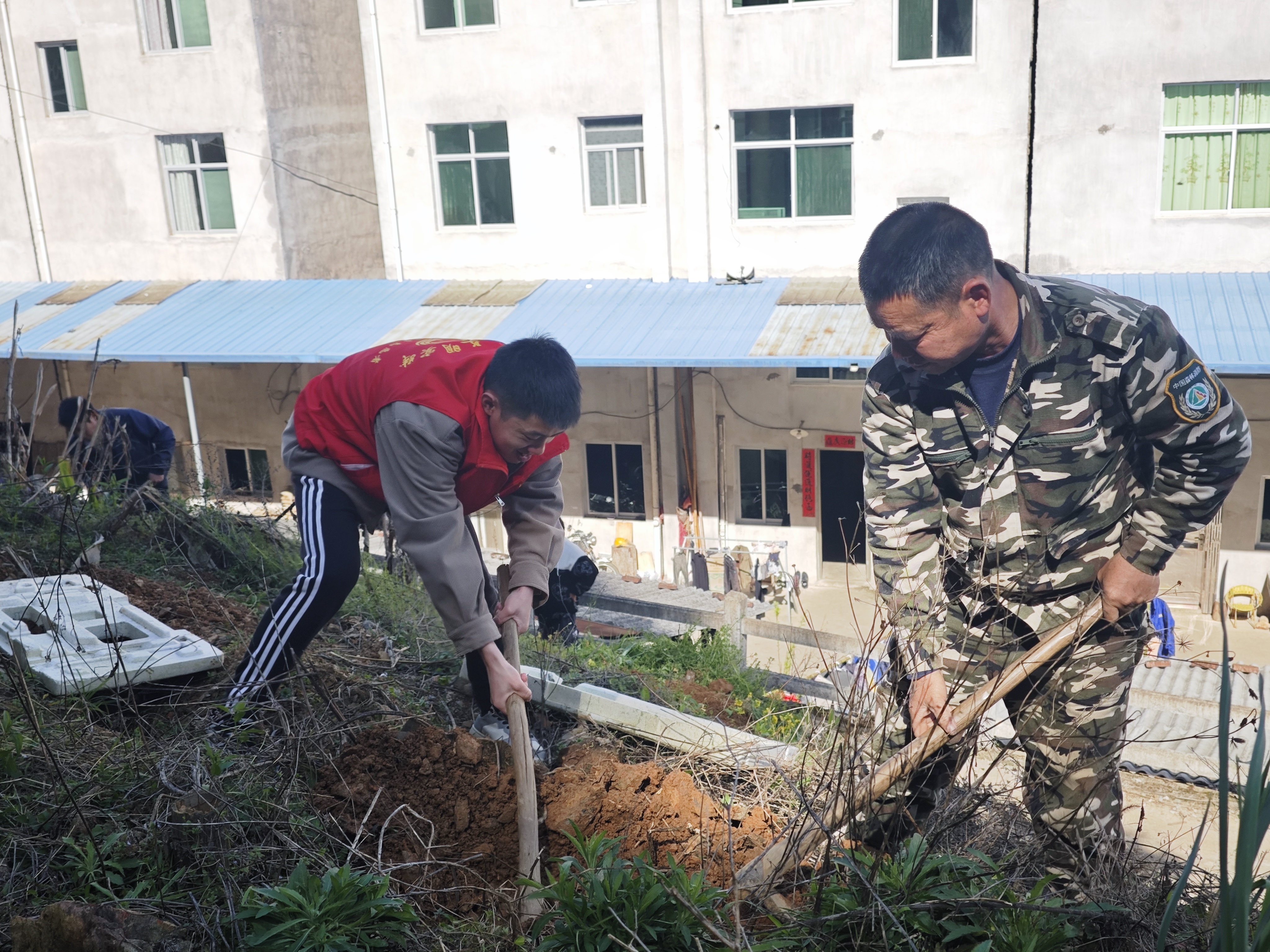 寧化：最是一年春好處 植樹添綠正當時