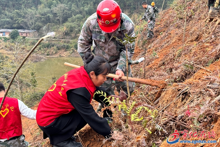 植樹造林添新綠，共建生態好家園
