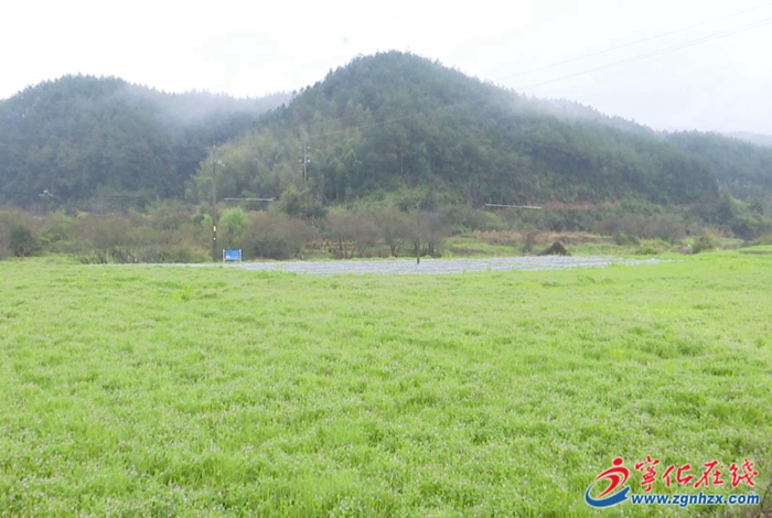 寧化城郊鎮(zhèn)：一種兩收 再生稻播種正酣