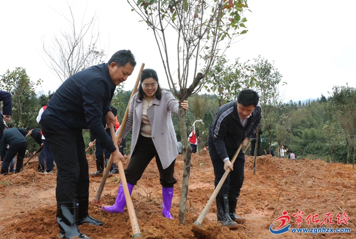 寧化縣領導參加義務植樹活動