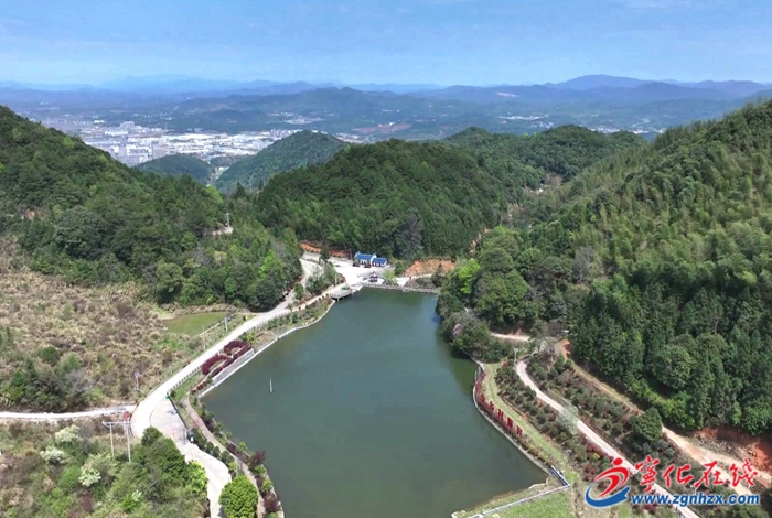 寧化縣城南鎮：致富路上“藥”飄香