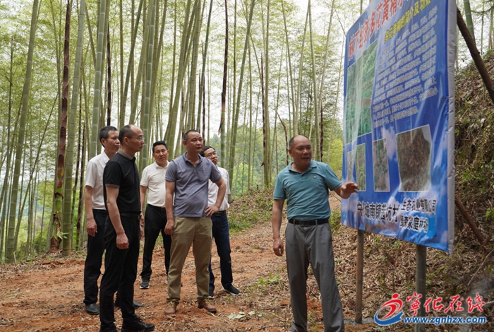 寧化縣召開縣級河長（林長）巡河巡林工作現場推進會議