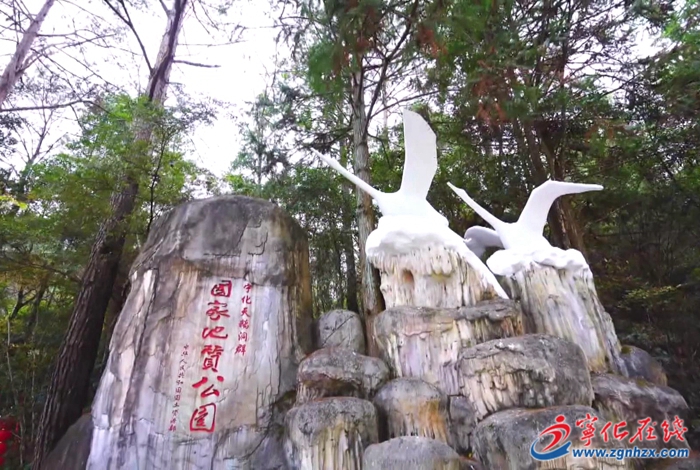 寧化:文明旅游 一路好風光