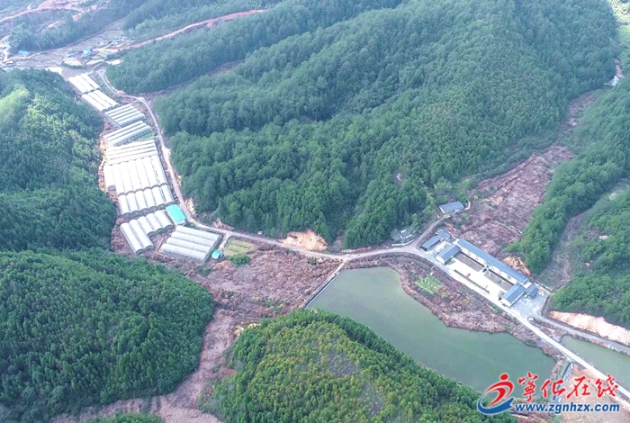 寧化：因地制宜踐行“大食物觀” 多措并舉加快發展 畜禽業