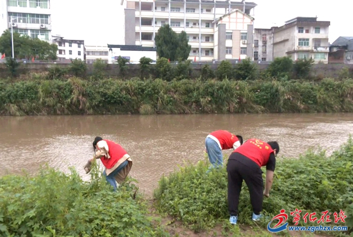 石壁鎮開展環境日宣傳活動