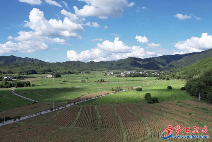 富民興村，寧化湖村玉米制種喜獲豐收