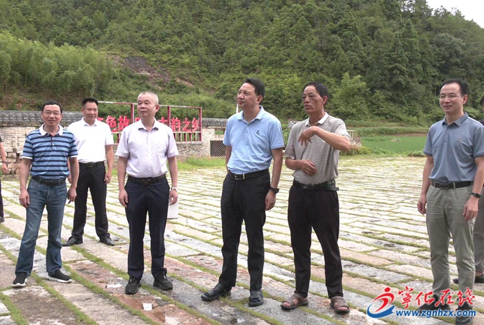 市領(lǐng)導來寧化開展工作調(diào)研
