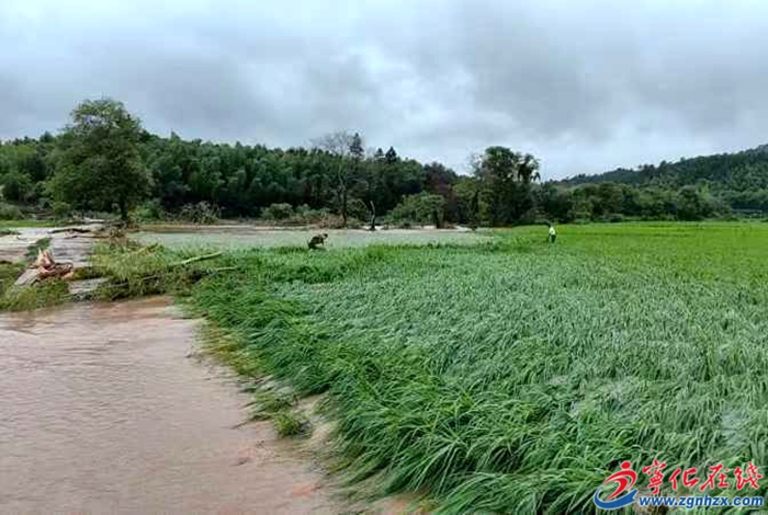 寧化安遠(yuǎn)鎮(zhèn)遭遇強(qiáng)暴雨?救援緊急進(jìn)行中